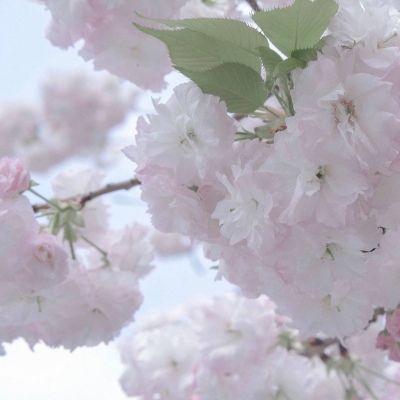 原创兽设世界观设计思路Furry群